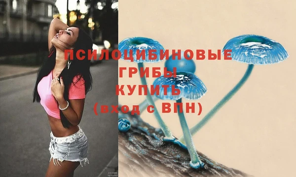 Альфа ПВП Новый Уренгой