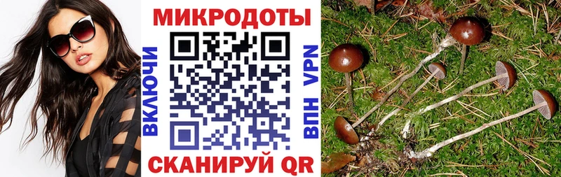 Псилоцибиновые грибы Psilocybine cubensis  купить закладку  omg ссылки  Алейск 